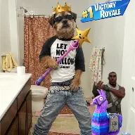 Einari avatar